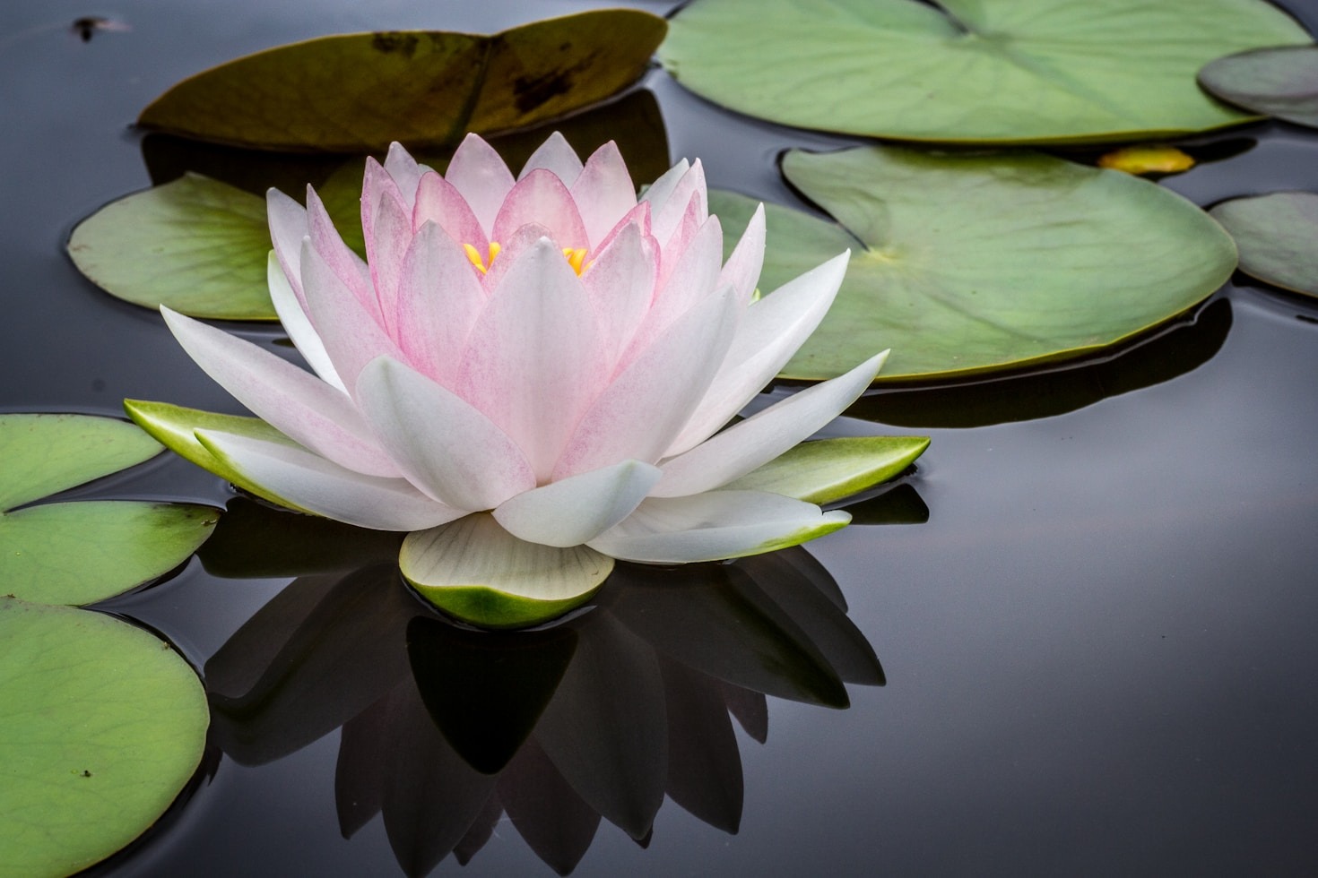 Understanding The Basics Of Energy Healing